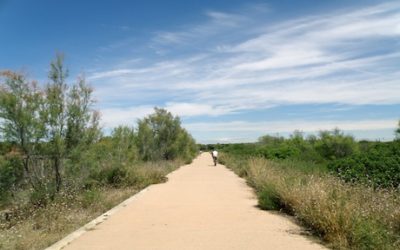 Ruta en bicicleta por el Saler hasta la Albufera